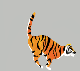 tigre saltando